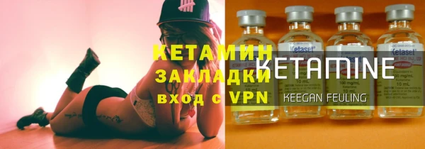 гидра Надым
