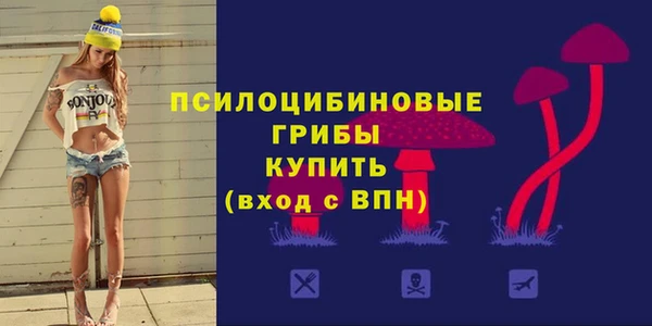 PSILOCYBIN Беслан