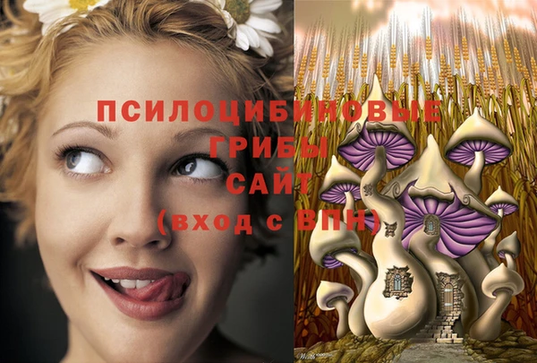 бошки Михайлов