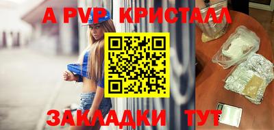 СК Бийск
