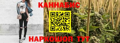 СК Бийск