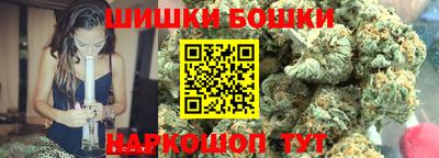 СК Бийск