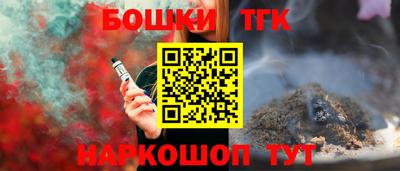СК Бийск
