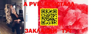 СК Бийск