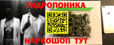 СК Бийск