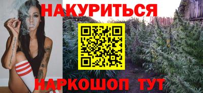 СК Бийск