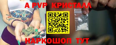 СК Бийск