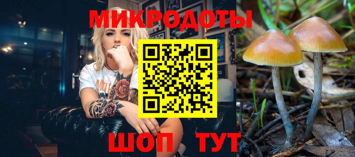 Псилоцибиновые грибы MAGIC MUSHROOMS  Волгодонск 