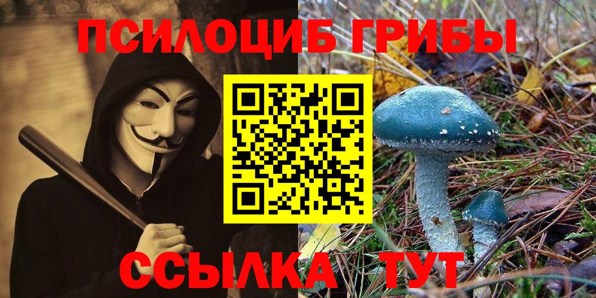 Галлюциногенные грибы мицелий  Вход с VPN  Волгодонск  Псилоцибиновые грибы GOLDEN TEACHER 